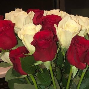 Meet your Posher, Stella